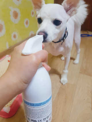 이솔미님이 올린 리뷰 사진 1