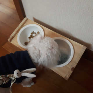 몽이언니님이 올린 리뷰 사진 1