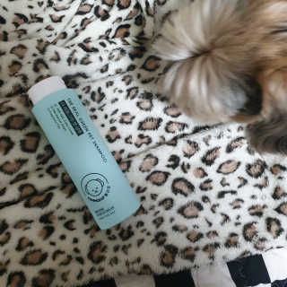 Rooloo님이 올린 리뷰 사진 1