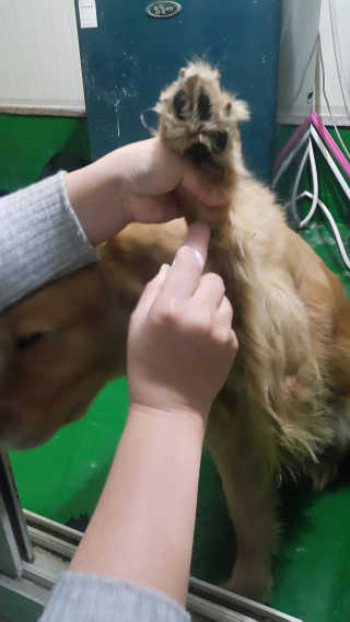 별이님이 올린 리뷰 사진 3