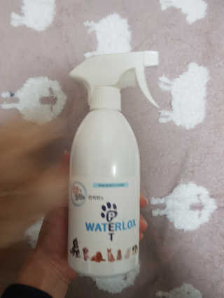 dutxod님이 올린 리뷰 사진 1