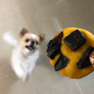 지애님이 올린 리뷰 사진 1