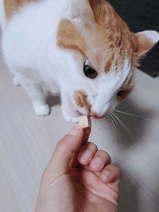 도로농농님이 올린 리뷰 사진 1