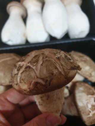 다다름님이 올린 리뷰 사진 4