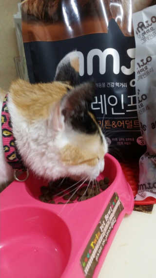 jinlovely님이 올린 리뷰 사진 3