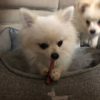 hyosung님이 올린 리뷰 사진 4
