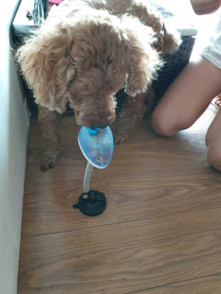 삐삐맘님이 올린 리뷰 사진 2