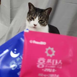 프롬바이오 홍쓰다스 아침,저녁 맞춤형 다이어트식품 14포+14포 — 4.5점을 준 리뷰어가 2020년 2월 올린 사용 사진