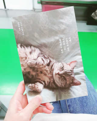 오단비님이 올린 리뷰 사진 1