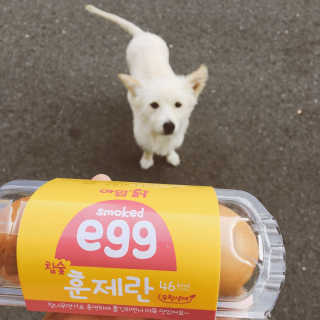 오수님이 올린 리뷰 사진 1
