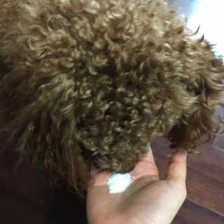 stribling님이 올린 리뷰 사진 3