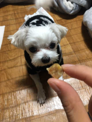 융쓰쓰님이 올린 리뷰 사진 2