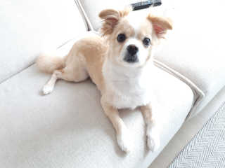 jina2744님이 올린 리뷰 사진 4