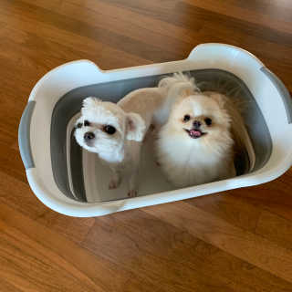 어거스트비님이 올린 리뷰 사진 3