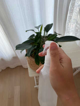 율리킴님이 올린 리뷰 사진 3
