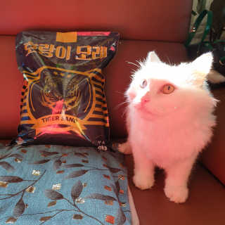 Lilly❤️님이 올린 리뷰 사진 4
