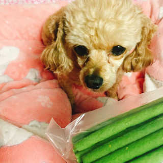랑이님이 올린 리뷰 사진 3