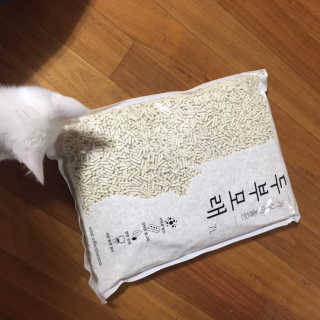 주토피아님이 올린 리뷰 사진 1