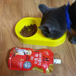 J님이 올린 리뷰 사진 1