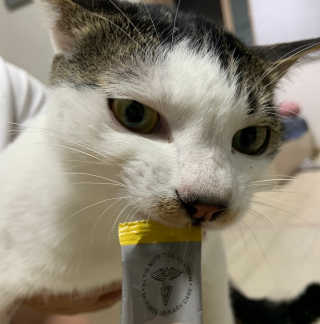 소쨩님이 올린 리뷰 사진 4