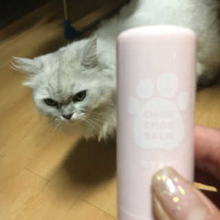 이선희님이 올린 리뷰 사진 2
