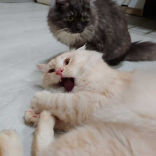 구월댁님이 올린 리뷰 사진 1