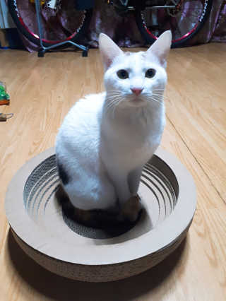 홍지은님이 올린 리뷰 사진 2