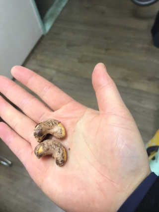 소라님이 올린 리뷰 사진 1