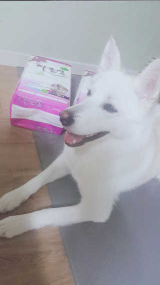 딸랑구둘🥰님이 올린 리뷰 사진 1