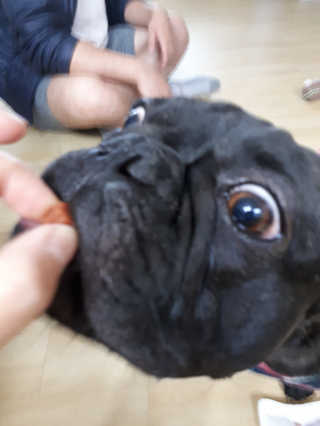 토르맘님이 올린 리뷰 사진 2