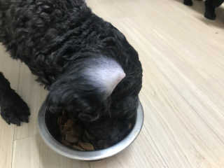 우와한언니님이 올린 리뷰 사진 3