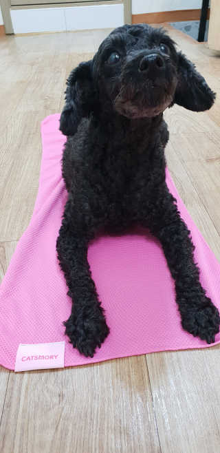 차재림님이 올린 리뷰 사진 2