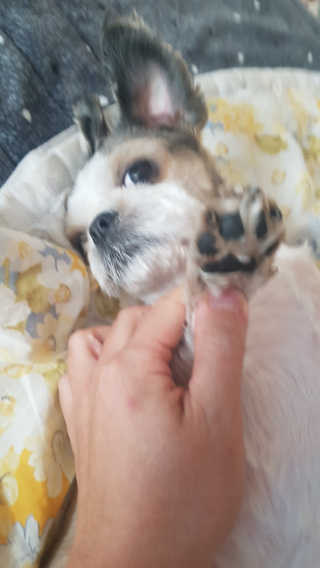 부우님이 올린 리뷰 사진 2