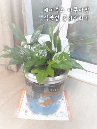 박루씨님이 올린 리뷰 사진 1