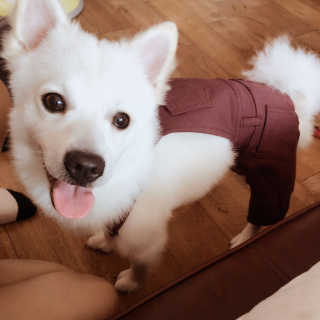 두부감자님이 올린 리뷰 사진 2