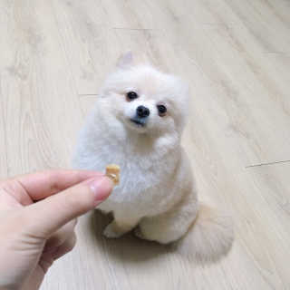 옥수수님이 올린 리뷰 사진 3
