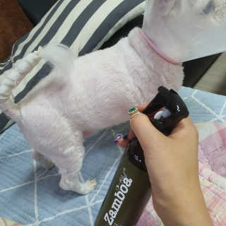 엣헴님이 올린 리뷰 사진 2