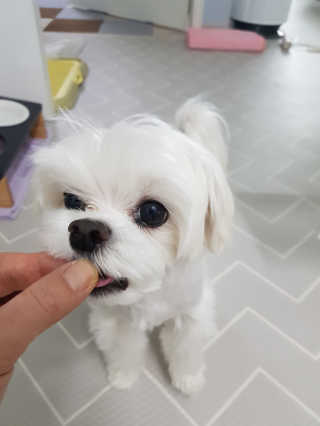 나란여자🤦‍♀️🤷‍♀️💁‍♀️님이 올린 리뷰 사진 3