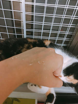 미니님이 올린 리뷰 사진 3