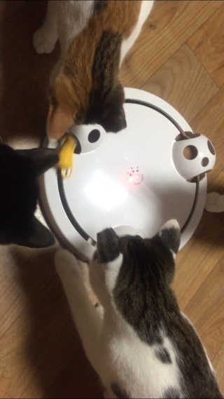 까꿍님이 올린 리뷰 사진 3
