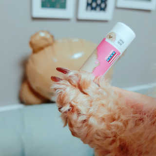 더블리스풀독 샤이니 포우 버터 0.15oz [천연 발바닥 보호제] — 5점을 준 리뷰어가 2018년 7월 올린 사용 사진