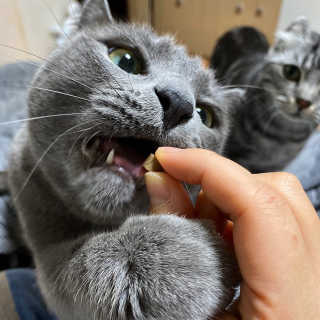 융융이님이 올린 리뷰 사진 3