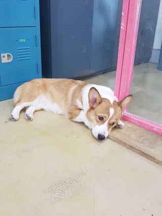 응디니님이 올린 리뷰 사진 2