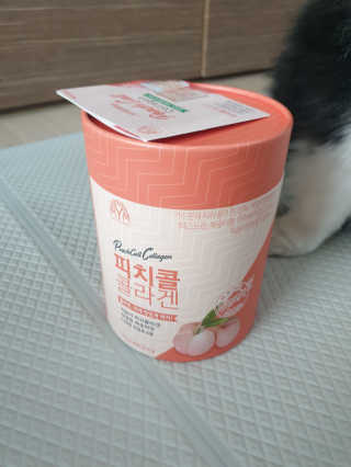 몽실맘님이 올린 리뷰 사진 2