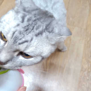 에디터보나님이 올린 리뷰 사진 4