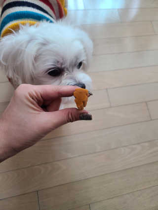 무무님이 올린 리뷰 사진 2