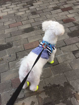 김승희님이 올린 리뷰 사진 2
