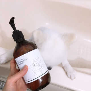 백설님이 올린 리뷰 사진 4