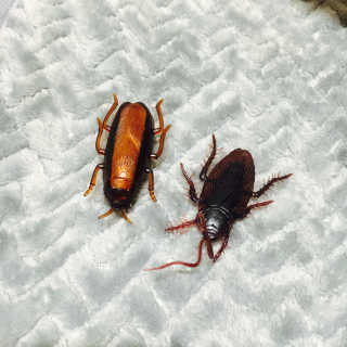 유하공주님이 올린 리뷰 사진 1
