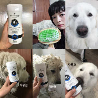 조언니님이 올린 리뷰 사진 1